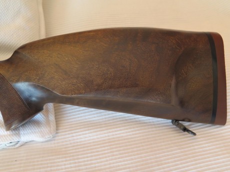 Buenos días compañeros
Vendo mi Browning Eurobolt 30-06, con monturas Apel 30mm, y visor Leupold European 31