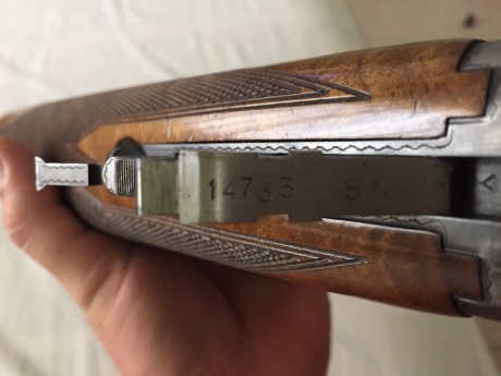 Estimados Compañeros:
Por favor si alguien me puede dar detalles de una escopeta que he adquirida recientemente, 01