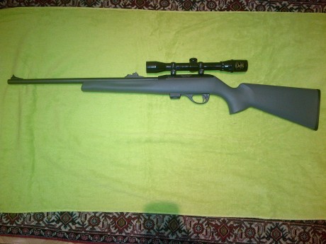 Vendo Carabina del calibre 22 Reminton modelo 597 poco uso dos cargadores de diez tiros sin visor ni bases 01