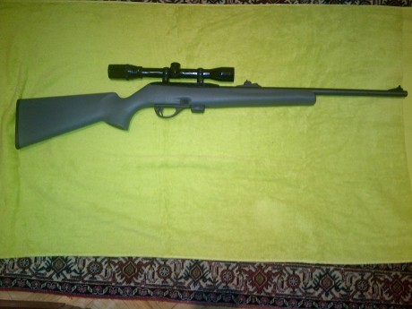 Vendo Carabina del calibre 22 Reminton modelo 597 poco uso dos cargadores de diez tiros sin visor ni bases 00