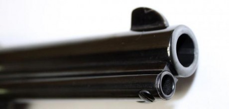 Hola,
 estaba pensando en adquirir un revolver para tirar en Piñal. Hay  dos modelos que me han llamado 102