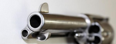 Hola,
 estaba pensando en adquirir un revolver para tirar en Piñal. Hay  dos modelos que me han llamado 100