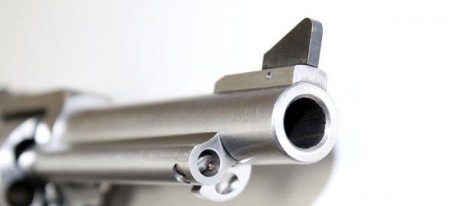 Hola,
 estaba pensando en adquirir un revolver para tirar en Piñal. Hay  dos modelos que me han llamado 110