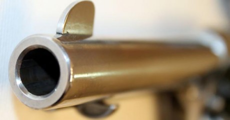 Hola,
 estaba pensando en adquirir un revolver para tirar en Piñal. Hay  dos modelos que me han llamado 122