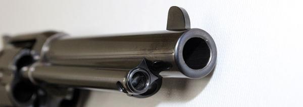 Hola,
 estaba pensando en adquirir un revolver para tirar en Piñal. Hay  dos modelos que me han llamado 130