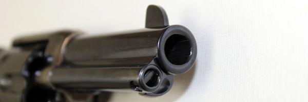 Hola,
 estaba pensando en adquirir un revolver para tirar en Piñal. Hay  dos modelos que me han llamado 141