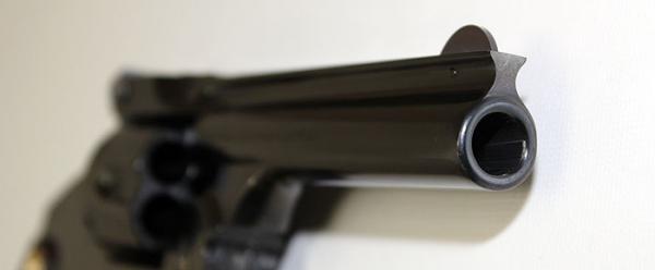 Hola,
 estaba pensando en adquirir un revolver para tirar en Piñal. Hay  dos modelos que me han llamado 140