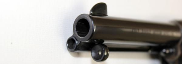 Hola,
 estaba pensando en adquirir un revolver para tirar en Piñal. Hay  dos modelos que me han llamado 80