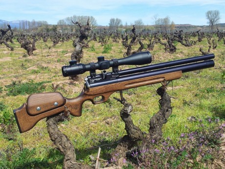 Buenos días a todos , los amigos de Armas.Es

Como el titulo lo dice una nueva bullpup entra al mercado 62