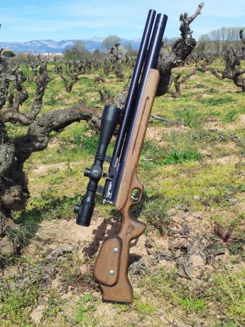 Buenos días a todos , los amigos de Armas.Es

Como el titulo lo dice una nueva bullpup entra al mercado 61