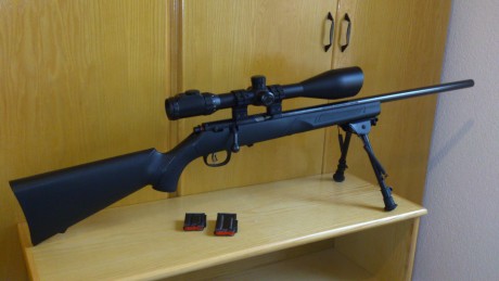 Vendo Marlin 17hmr con visor nikkostirling 6-24x56 mildot iluminada y muy pocos disparos con dos cargadores. 00