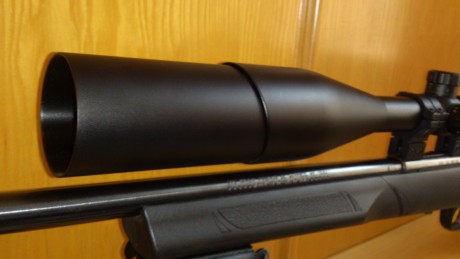 Vendo Marlin 17hmr con visor nikkostirling 6-24x56 mildot iluminada y muy pocos disparos con dos cargadores. 10