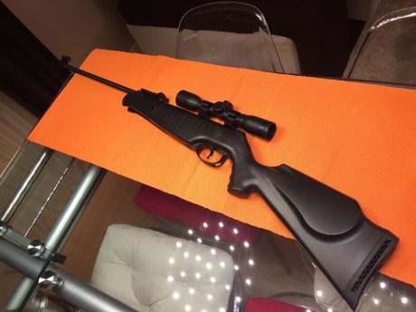 Vendo Norica Titán sin haber tirado siquiera una lata pequeña de balines. Muy precisa. Incluye Visor Gamo 02