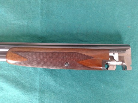  Buenas tardes, pongo en venta la escopeta de un amigo

Browning B25 modelo de caza

Culata inglesa
Monogatillo 20