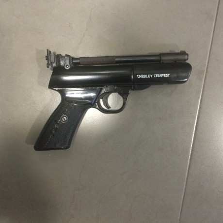 Cambio pistola webley tempest del 5.5 por carabina de aire comprimido tipo cometa fenix campact o gamo 01