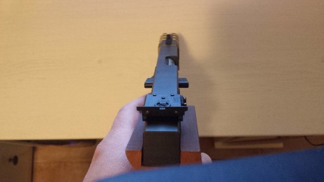 Me interesaría si alguien quisiera cambiarla por una Walther GSP Expert del 22 con muy poco uso.
También 10