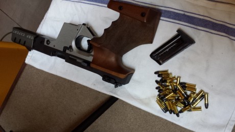 Me interesaría si alguien quisiera cambiarla por una Walther GSP Expert del 22 con muy poco uso.
También 20