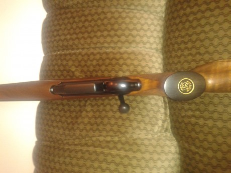 Modelo Forest calibre 9,3x62, cañón semipesado de 51 cm., miras especiales de batida, culata lomo de jabalí 60