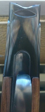 Vendida 01