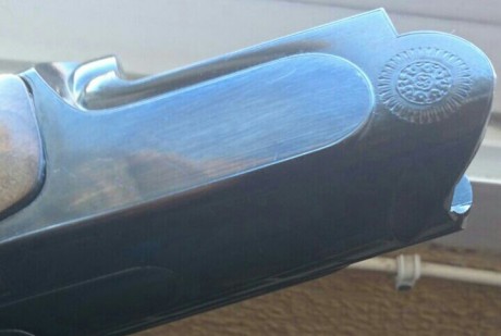 Vendida 41