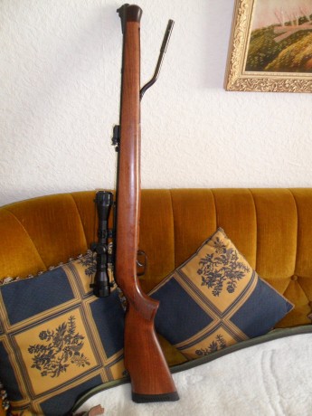 Hola, vendo esta carabina GAMO Stutzen cal 4.5, como nueva, con la funda que aparece en la fotografía, 00