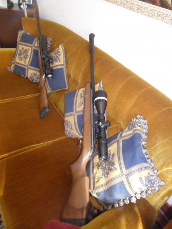 Hola, vendo esta carabina GAMO Hunter-CSI, IGT cal.4.5, en muy buen estado general y de funcionamiento. 00