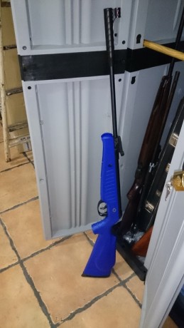 Hola a todos:

He adquirido una Thor GRS con el objetivo de tirar dentro de casa y dejar los julios gordos 02