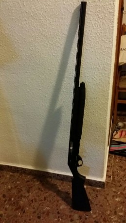 COMPAÑERO VENDE:
Vendo benelli premium plus, sintetica .
 tiene cinco polichoques y su maletín .

 Vendo 00