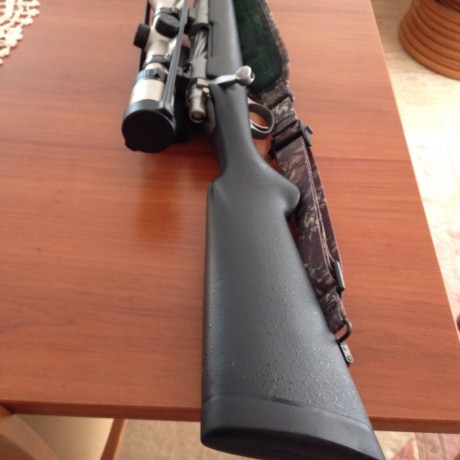 Vendo Rifle Remington Titanium modelo 700, cal. 3006. Solo estrenado.
Monturas Apel originales y visor 01