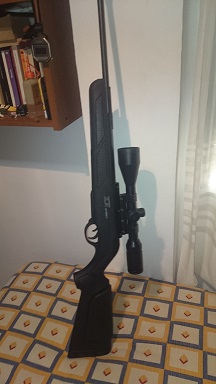 Lo mismo que mi otro post, vendo por no usar este lote , carabina Gamo Igt, con bocacha de aluminio Feinwerbau, 00