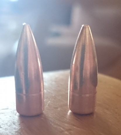 Alguien me puede decir si podria valer para cazar jabali en batida,no seria para tiros muy largos pero 170