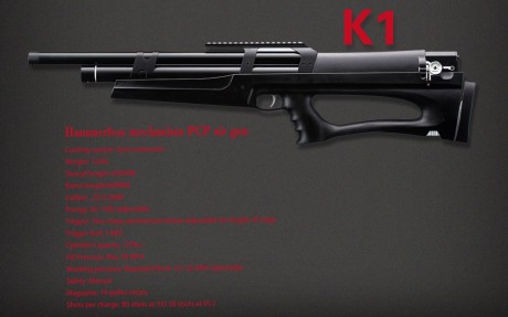 Buenos días a todos , los amigos de Armas.Es

Como el titulo lo dice una nueva bullpup entra al mercado 120