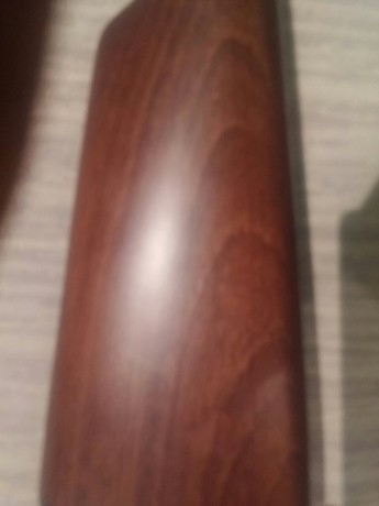 Un amigo pone a la venta esta bonita carabina palanquera del 22 lr, a un precio realmente interesante
Antigüedad: 10