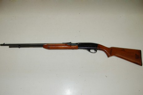 Se vende carabina Remington Speedmaster 552. Funciona muy bien.
Dispara .22 corto, .22 long y .22LR.
Semiautomática.
Cargador 02