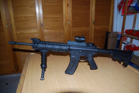 VENDIDA      Vendo Smith & Wesson MP15-22 

        SE PUDE CERRAR

Precio  550€ . Portes, si los 62