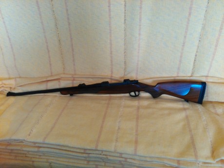 Pues empiezo yo :mrgreen: 3
De todas las armas que he tenido y tengo y de todos los disparos que he realizado, 60