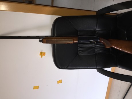 Se vende escopeta Beretta calibre 12 modelo A303 en perfecto estado de funcionamiento. 
Con 5 polichokes 00