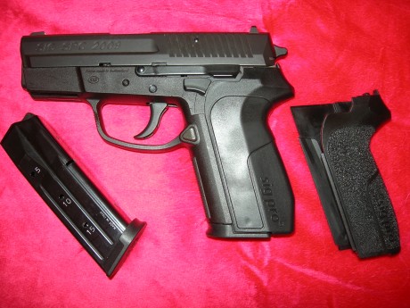 Vendo Pistola Sig Sauer modelo Sig-Pro SPC-2009 del 9mm P guiada en F.
Está nueva, estrenada con unos 02