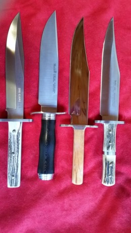 hola me gustaría que me aconsejeís un cuchillo de combate bueno y asequible, me interesa el sog seal team 00