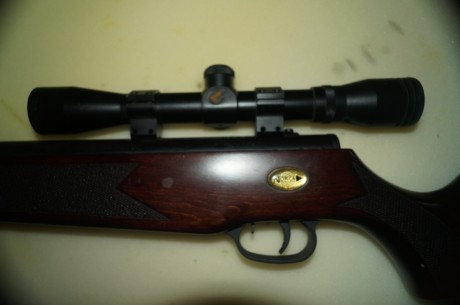 Vendo carabina Nórica modelo Marvick Gold del 4,5. Todo potencia y precisión. incluye visor gamo 4x32, 00