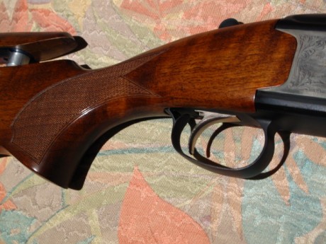 VENDIDA SE PUEDE CERRAR GRACIAS


Vendo escopeta Laurona modelo Derby con 71 cm de cañon, 5 choques intercambiables, 00