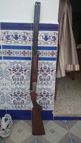 Hola compaňeros , pues eso vendo  o cambio por beretta 682 con chokes abonando diferencia , mi escopeta 00