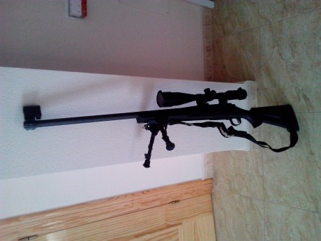 Rifle Remington 700 SPS Varmint, del calibre 308 Win.
El rifle se encuentra en Murcia y esta guiado con 01