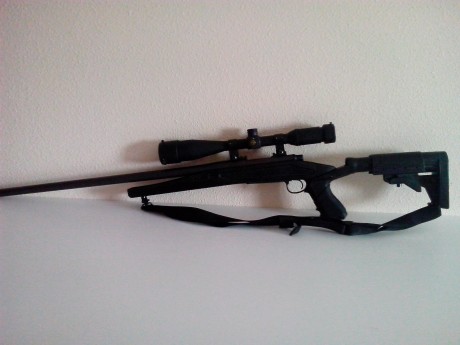 Rifle Remington 700 SPS Varmint, del calibre 308 Win. 
El rifle se encuentra en Murcia y esta guiado con 00