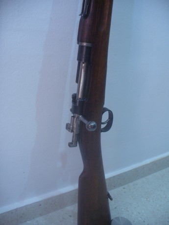 Hola amigos!

Cambio mi Carl Gustav M96 del año 1903 del calibre 6,5X55 por algún rifle de cerrojo del 01