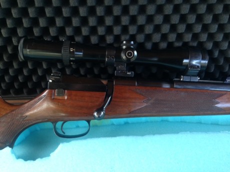 Pues empiezo yo :mrgreen: 3
De todas las armas que he tenido y tengo y de todos los disparos que he realizado, 20