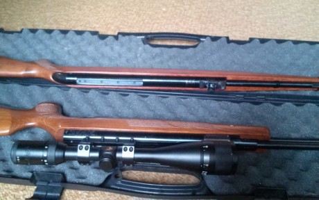 Vendo hw97 a 16j y gamo stutzen.
4,5 ambas.
La hw impecable, muy cuidada.
La stutzen nueva nueva, sin 00