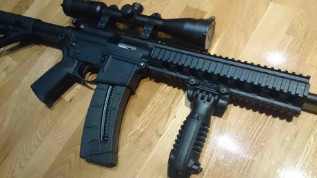 Hola a todos,

Pongo a la venta esta carabina S&W MP15-22 del 22LR con el pack Magpul MOE en color 02