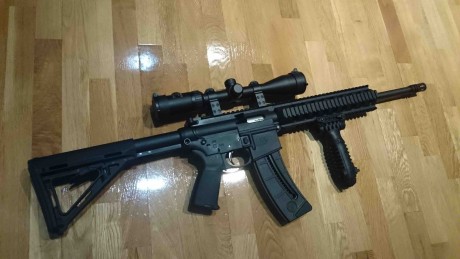 Hola a todos,

Pongo a la venta esta carabina S&W MP15-22 del 22LR con el pack Magpul MOE en color 00