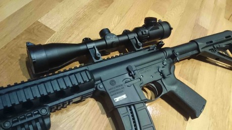 Hola a todos,

Pongo a la venta esta carabina S&W MP15-22 del 22LR con el pack Magpul MOE en color 10